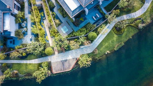 炸了 雅居樂(lè)攜手郎朗的直播首秀,2154萬(wàn)人圍觀