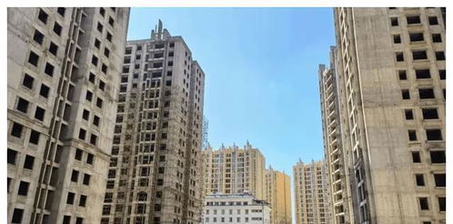 云南一處學(xué)區(qū)房小區(qū),已經(jīng)八年無(wú)人接盤(pán),還有千余名業(yè)主無(wú)法居住